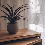 Skgcenterliving *