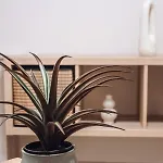 Skgcenterliving Διαμέρισμα Θεσσαλονίκη